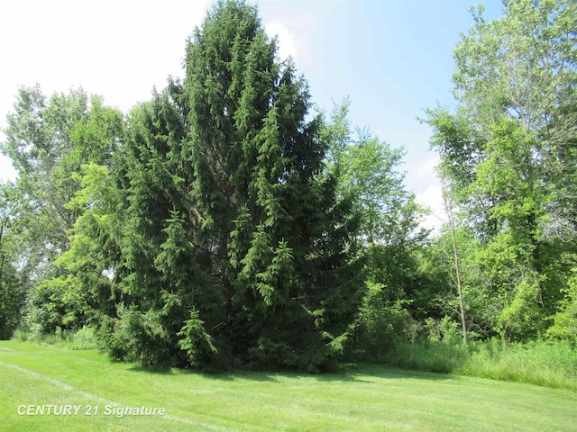 7228 Northfield Cir, Flushing, MI 48433 - photo 28