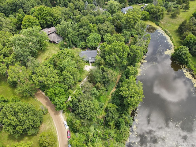 4445 Angels Pass, Pinckney, MI 48169 - photo 29