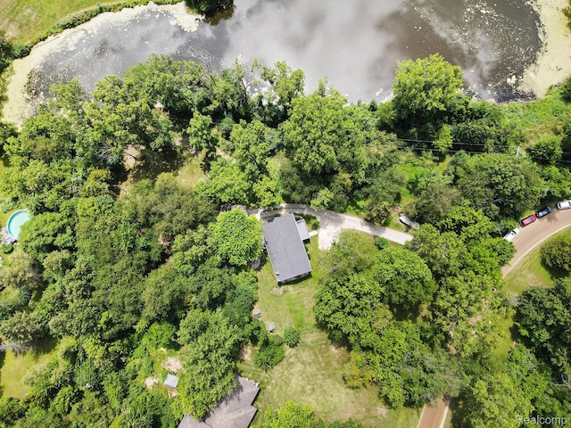 4445 Angels Pass, Pinckney, MI 48169 - photo 32