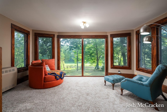 934 Park St, Belding, MI 48809 - photo 9
