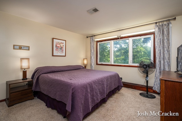 934 Park St, Belding, MI 48809 - photo 18