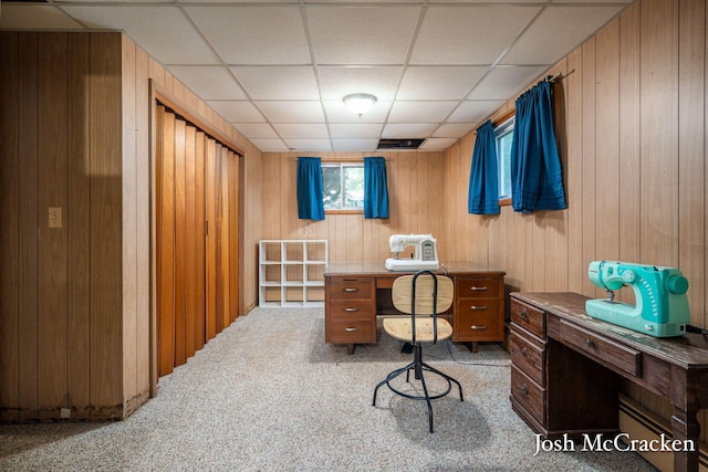 934 Park St, Belding, MI 48809 - photo 30