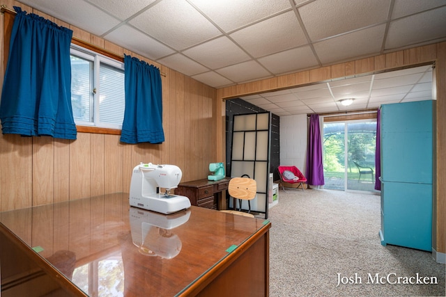 934 Park St, Belding, MI 48809 - photo 31