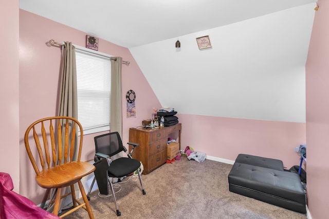 1916 W Jolly Rd, Lansing, MI 48910 - photo 9