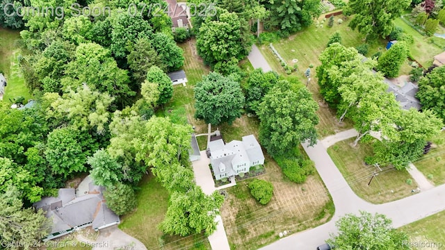 25875 Forestview Dr, Southfield, MI 48033 - photo 39