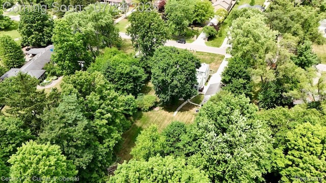 25875 Forestview Dr, Southfield, MI 48033 - photo 47