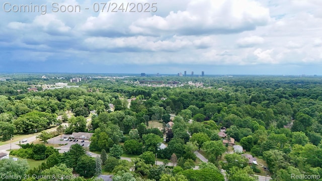 25875 Forestview Dr, Southfield, MI 48033 - photo 48