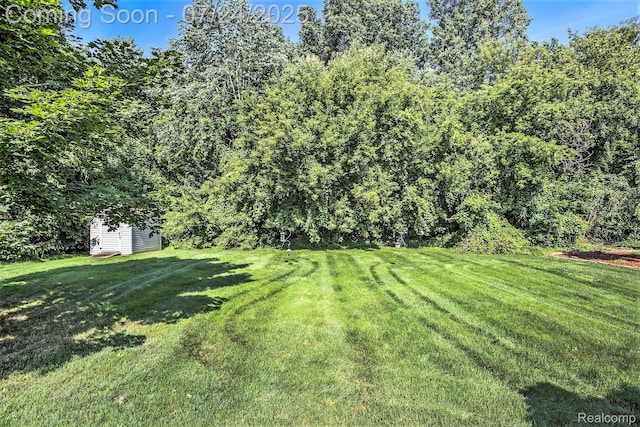 5216 Birchcrest Dr, Swartz Creek, MI 48473 - photo 20
