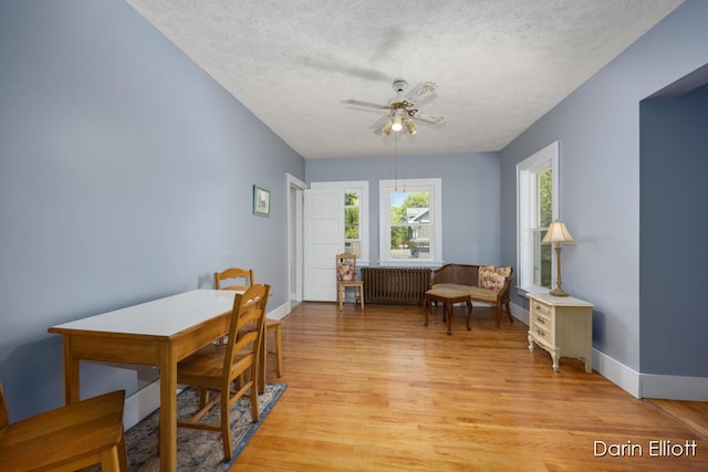223 S Pearl St, Belding, MI 48809 - photo 34