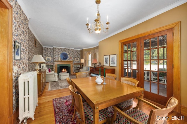 223 S Pearl St, Belding, MI 48809 - photo 11