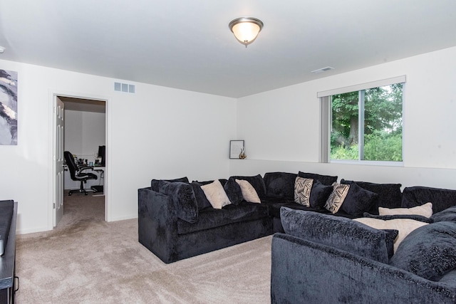 5147 Lake Pines Ct, Vicksburg, MI 49097 - photo 22