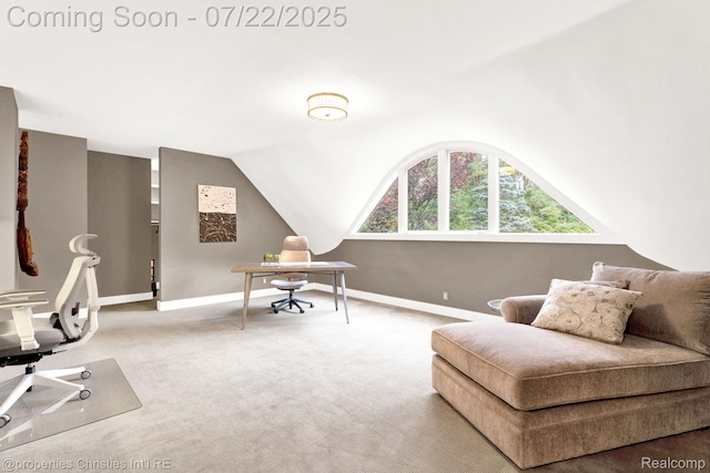 270 Martell Dr, Bloomfield Hills, MI 48304 - photo 36