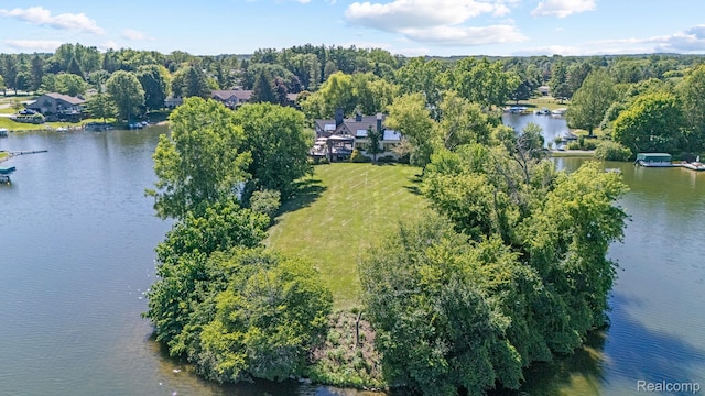 4912 Oakwood Ct, Commerce Twp, MI 48382 - photo 82