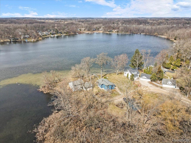 3965 Burnet Rd, Commerce Twp, MI 48382 - photo 44