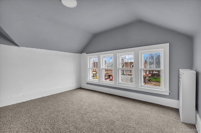1419 Atkinson St, Detroit, MI 48206 - photo 29