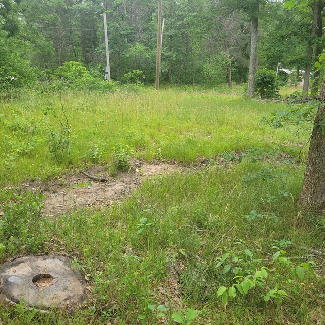 6704 S Sincerity, Idlewild, MI 49642 - photo 7