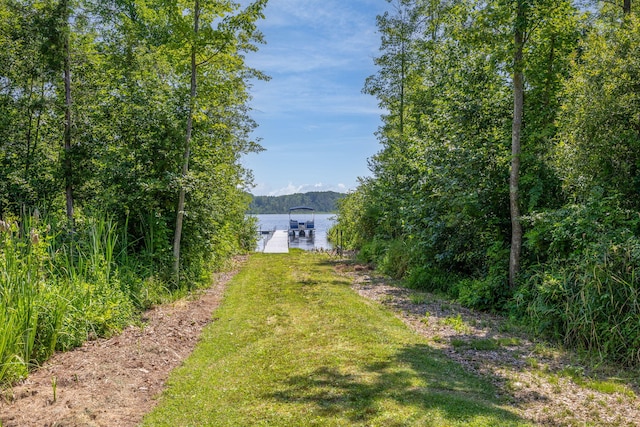11425 Fowler Dr, Remus, MI 49340 - photo 16