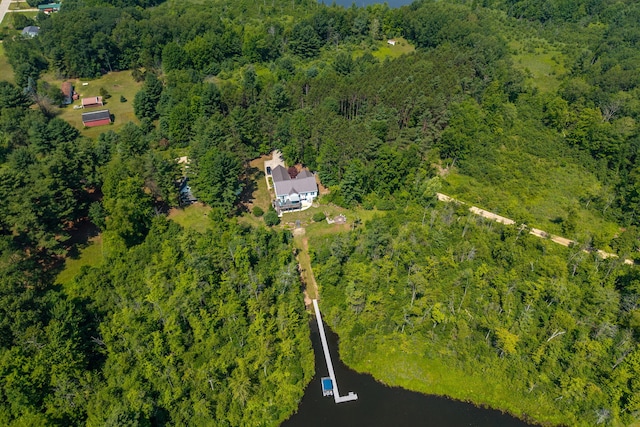 11425 Fowler Dr, Remus, MI 49340 - photo 44