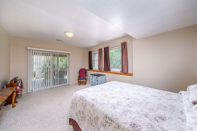 11425 Fowler Dr, Remus, MI 49340 - photo 43