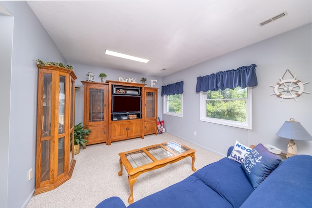 11425 Fowler Dr, Remus, MI 49340 - photo 36
