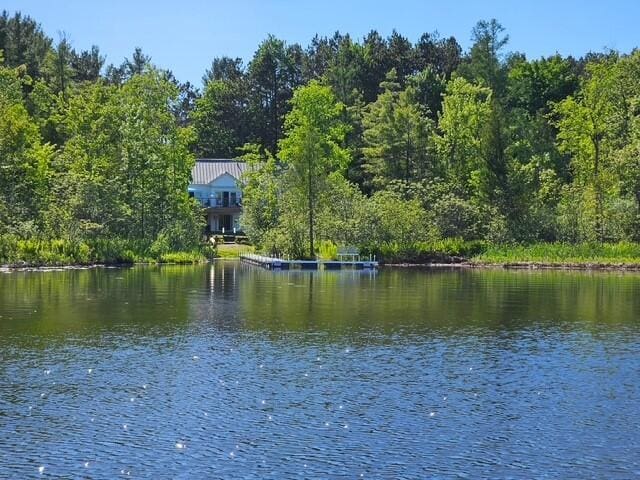 11425 Fowler Dr, Remus, MI 49340 - photo 52