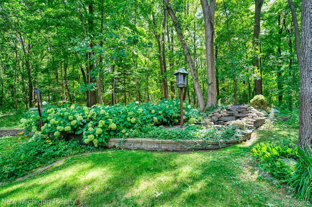 4707 Vincent Dr, Holly, MI 48442 - photo 12