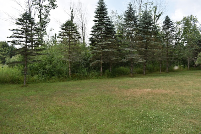 3594 S Barnett Rapids Dr, Branch, MI 49402 - photo 5