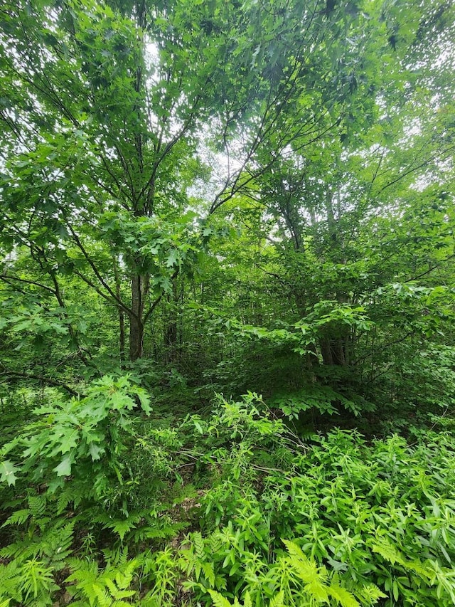 TBD Snowridge Trail, Elmira, MI 49730 - photo 4