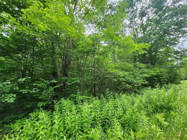TBD Snowridge Trail, Elmira, MI 49730 - photo 6