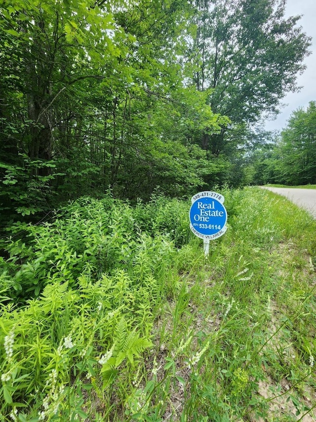 TBD Snowridge Trail, Elmira, MI 49730 - photo 7