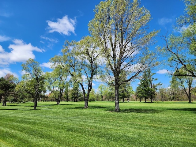 TBD Snowridge Trail, Elmira, MI 49730 - photo 17