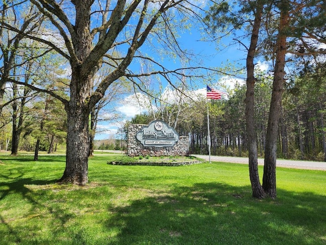 TBD Snowridge Trail, Elmira, MI 49730 - photo 1