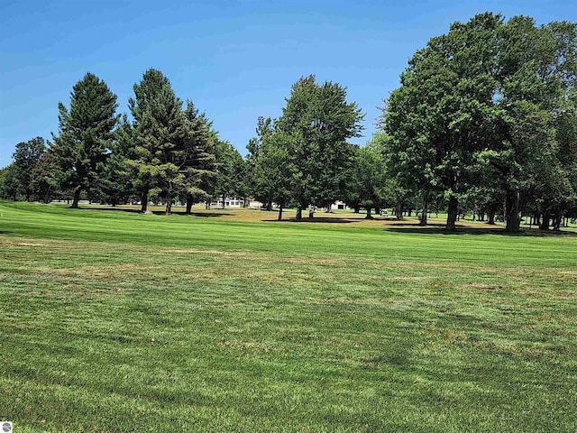 TBD Snowridge Trail, Elmira, MI 49730 - photo 13