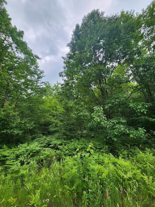 TBD Snowridge Trail, Elmira, MI 49730 - photo 2