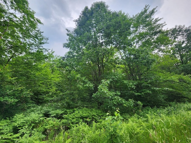 TBD Snowridge Trail, Elmira, MI 49730 - photo 3