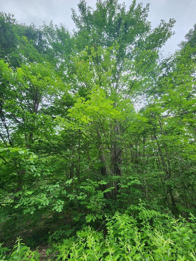 TBD Snowridge Trail, Elmira, MI 49730 - photo 5