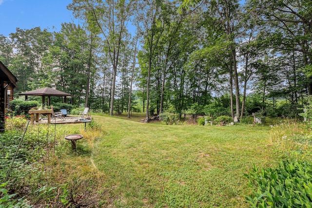 4491 S Saddler Rd, Chase, MI 49623 - photo 5