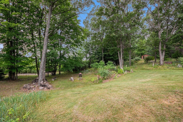 4491 S Saddler Rd, Chase, MI 49623 - photo 6