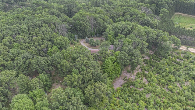 4491 S Saddler Rd, Chase, MI 49623 - photo 20