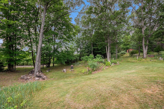 4491 S Saddler Rd, Chase, MI 49623 - photo 9