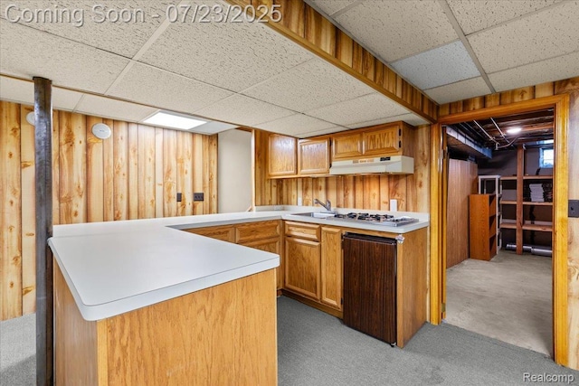 15991 Princeton Ct, Fraser, MI 48026 - photo 27