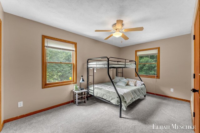 17398 Meceola Rd, Hersey, MI 49639 - photo 18