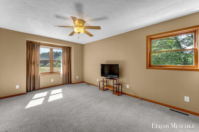17398 Meceola Rd, Hersey, MI 49639 - photo 15