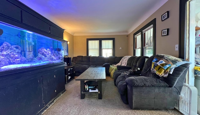 54 76th St SW, Grand Rapids, MI 49548 - photo 13