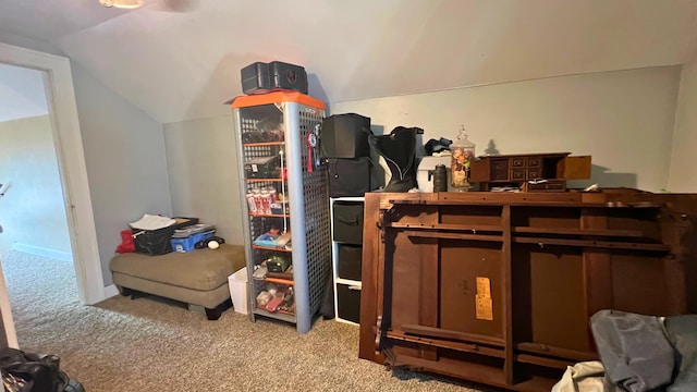 54 76th St SW, Grand Rapids, MI 49548 - photo 7