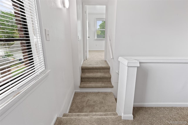 5967 Hereford St, Detroit, MI 48224 - photo 21