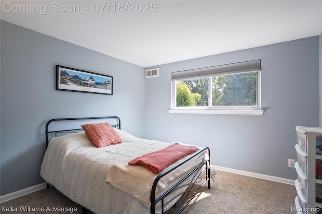 38087 Connaught Dr, Northville, MI 48335 - photo 23