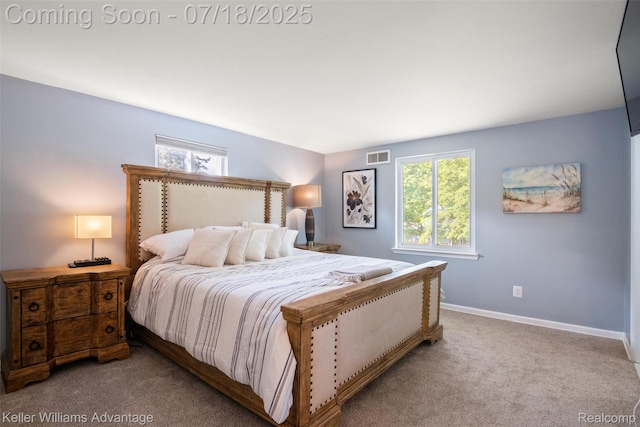 38087 Connaught Dr, Northville, MI 48335 - photo 19
