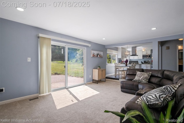 38087 Connaught Dr, Northville, MI 48335 - photo 15