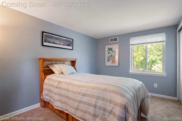 38087 Connaught Dr, Northville, MI 48335 - photo 26